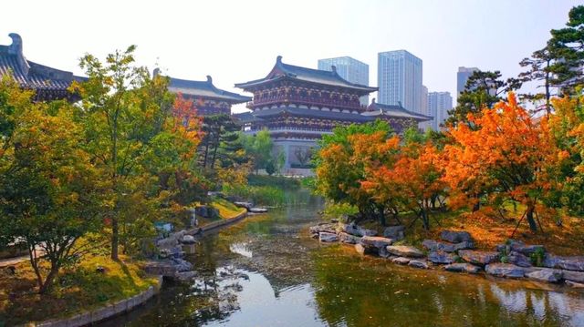 地道中國年,請君且看洛陽城!攻略在此呦 地道中國年,請君且看洛陽城!攻略在此呦