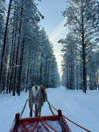 冬日芬蘭5日遊｜雪景美哭別錯過