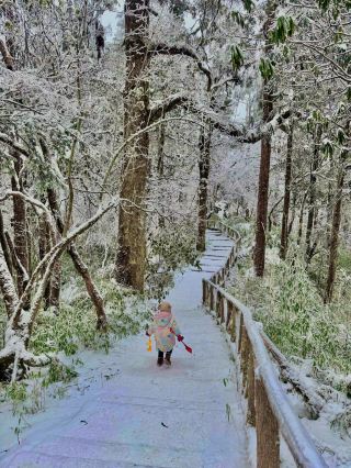 Amazing! Not abroad! Just around Chengdu!