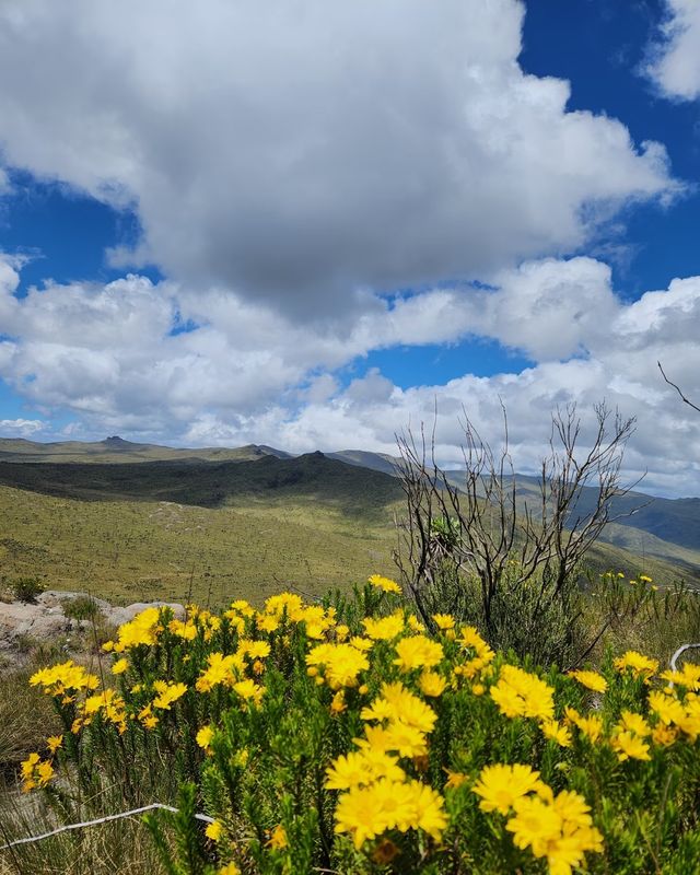 邂逅魯里梅里亞山，感受自然奇景