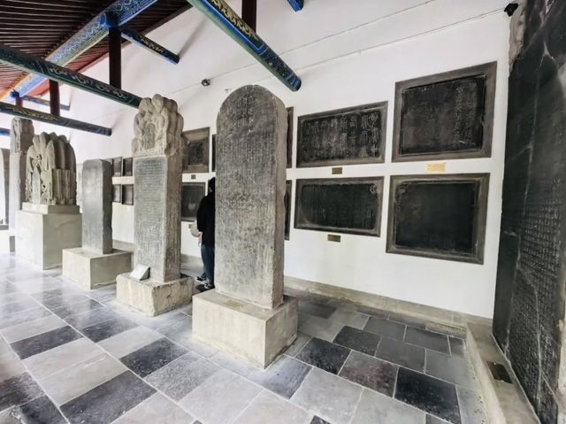 山水俱陽 故名咸陽（三）：咸陽博物院