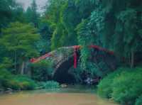 來川西竹海深呼吸，沉醉天然氧吧