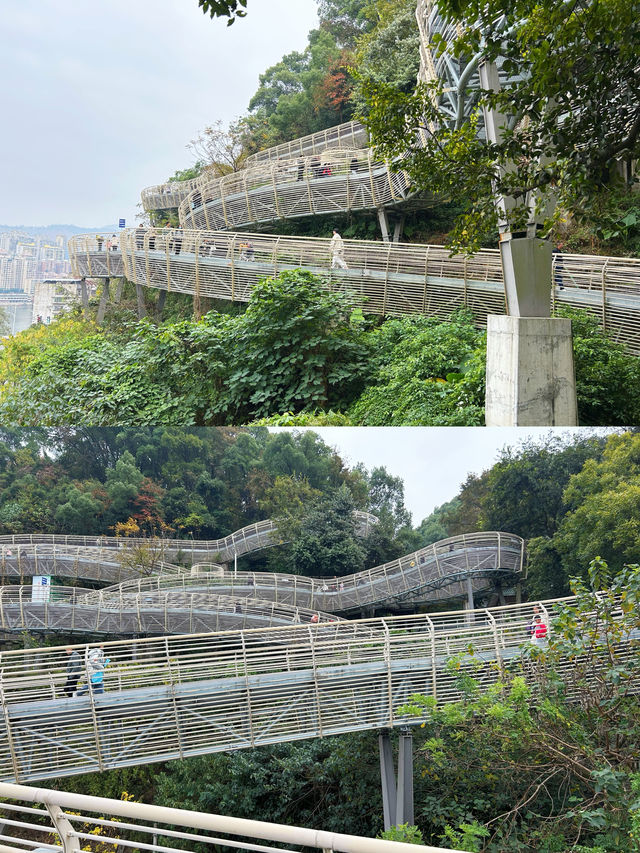 南平九峰山公園｜玩全攻略