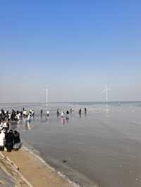 自駕天津東疆親海公園，帶娃看海鷗