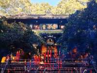 Discover Qingchengshan: Sacred Temples, Stunning Views☯️