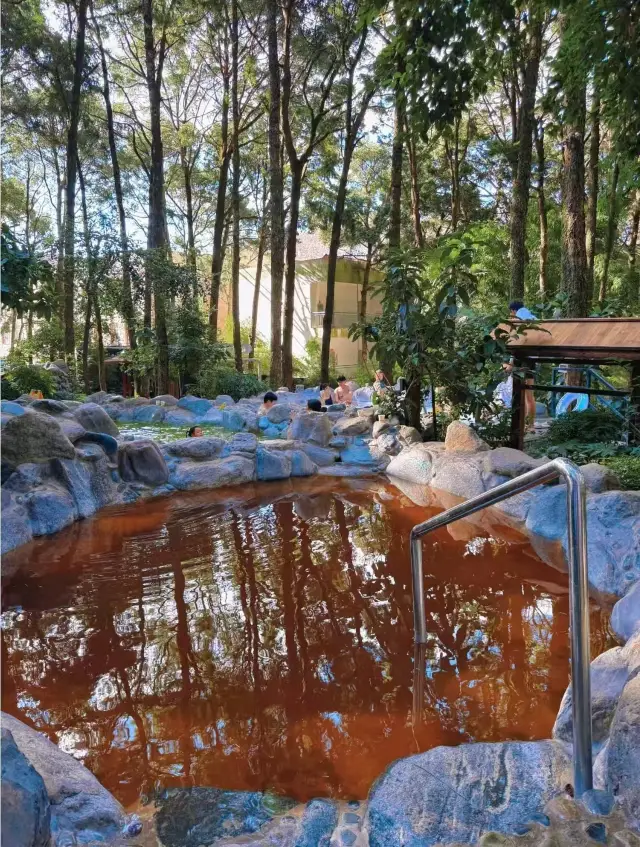 Around Kunming | Drive 1 hour to reach the forest hot spring secret place