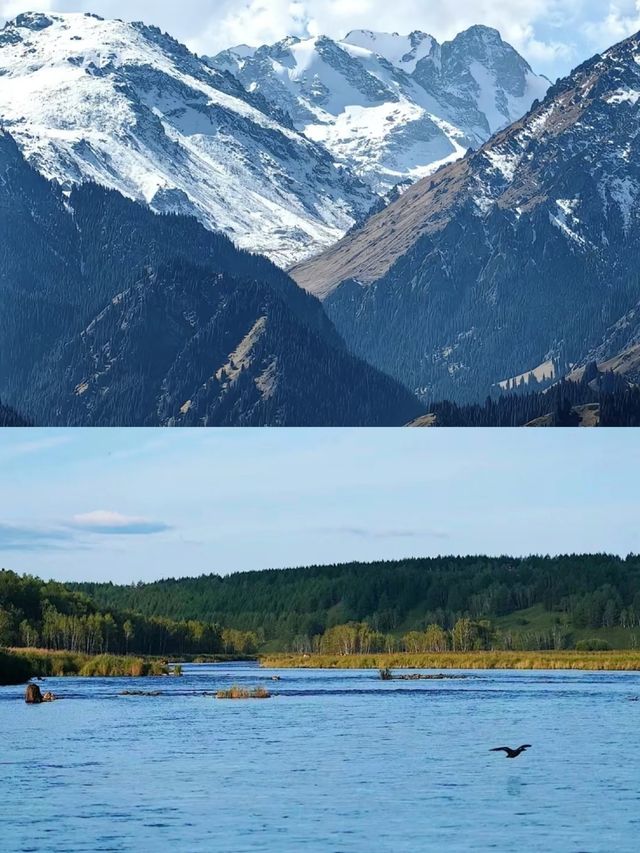 不是阿爾山的冬天這麼美怎麼沒人宣傳