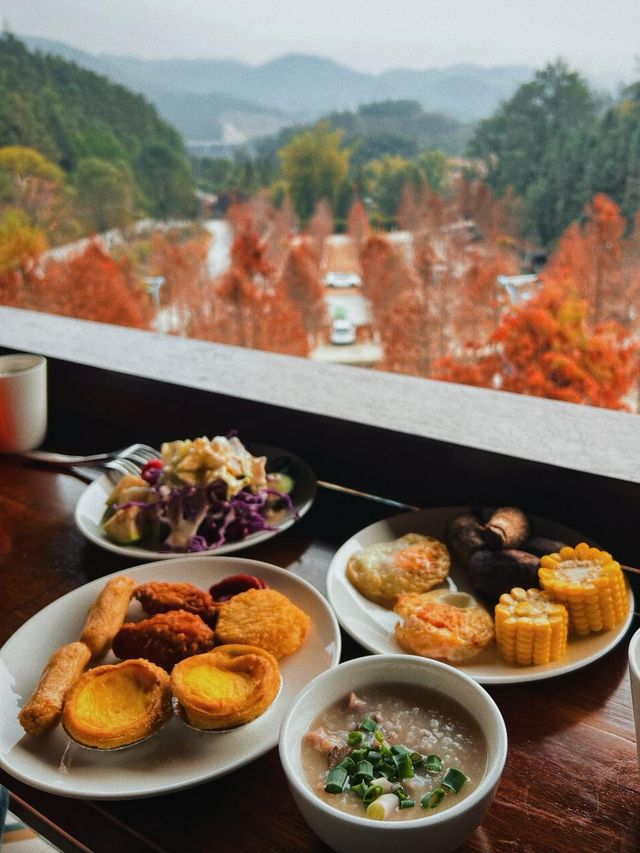 住進現實版綠野仙蹤被森林環抱的溫泉酒店