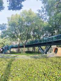 鬧市中竟有這樣的秘境-徐家匯公園