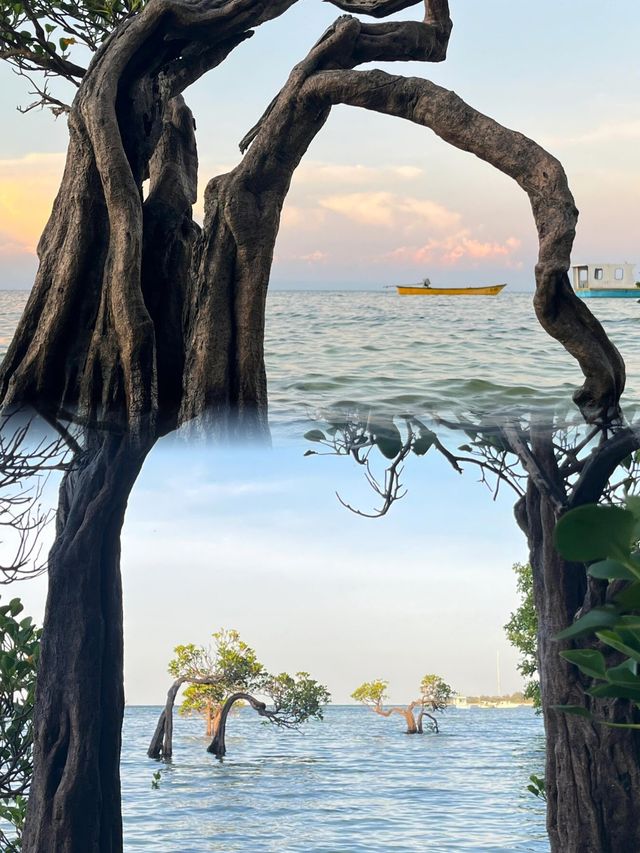 松巴島秘境探索：踏浪威庫利湖，品嚐印尼美食