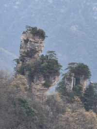 寒假遊玩張家界-大峽谷-天門山 超全攻略請收好