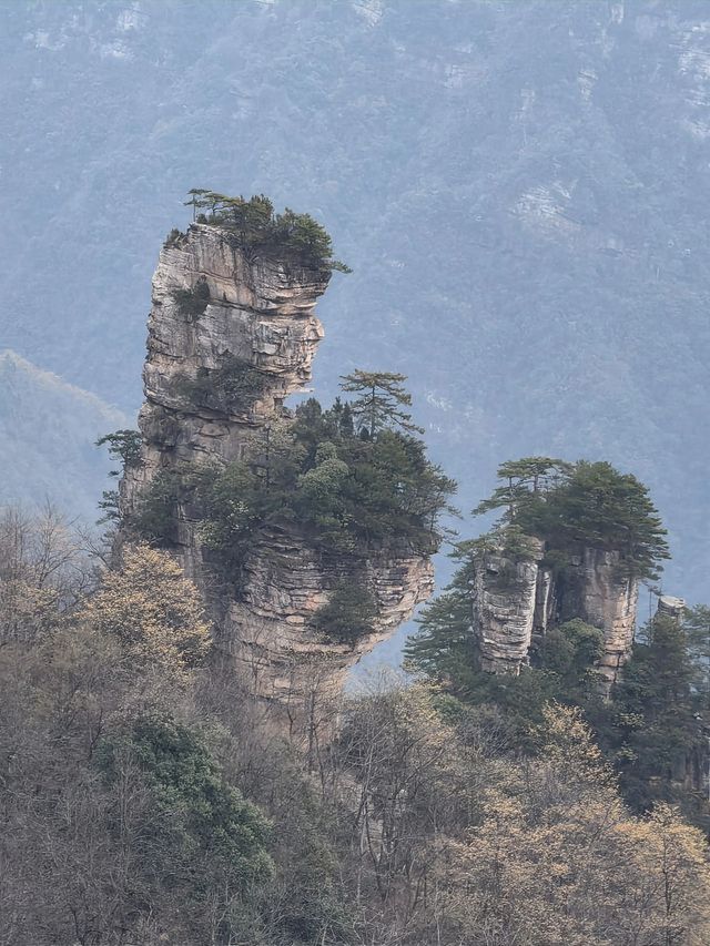 寒假遊玩張家界-大峽谷-天門山 超全攻略請收好 寒假遊玩張家界-大峽谷-天門山 超全攻略請收好