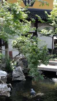 蘇州寒山寺深度旅遊攻略