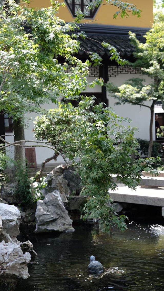 蘇州寒山寺深度旅遊攻略