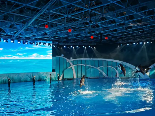 青島海底世界遊館攻略
