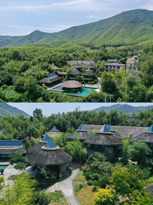 仲夏 Dream | 夢幻帷幔下的親子之旅