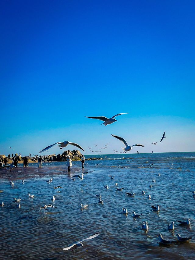 秦皇島半日遊
