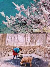 新疆旅遊攻略/探秘南疆9日遊。