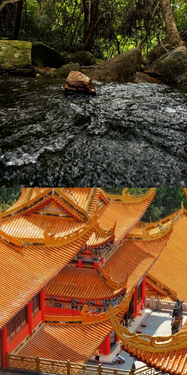 東莞這座山，爬了才知道有多值！