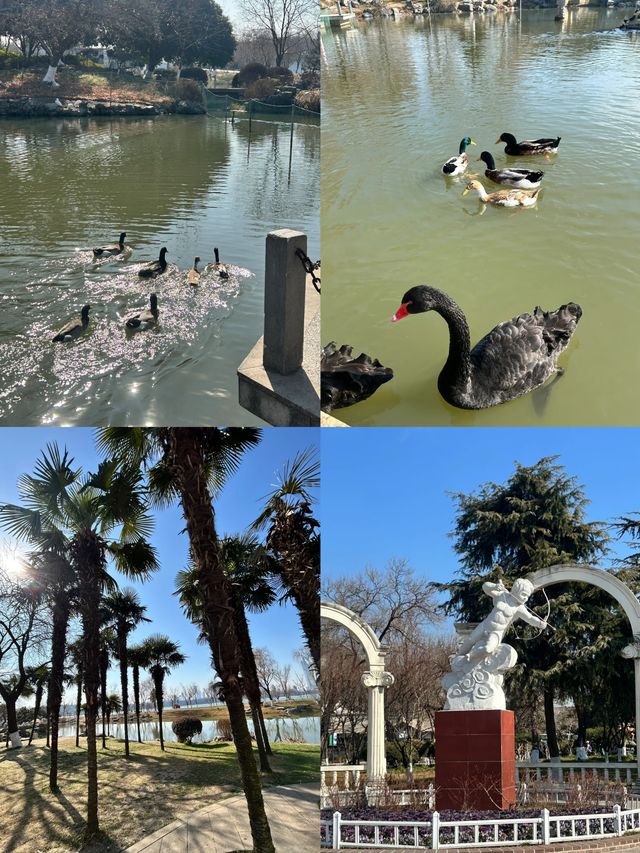 南京二月梅花香裏暴走攻略