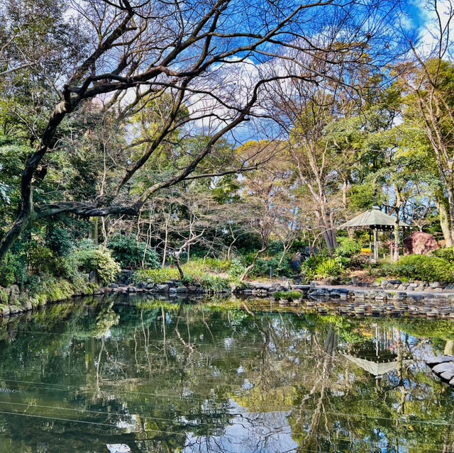 大阪周邊@萬葉植物園