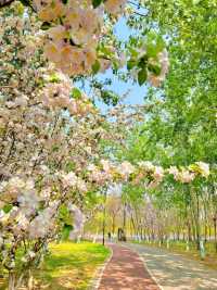 嚟咗朝陽公園先知道，以前嘅週末都白過咗！