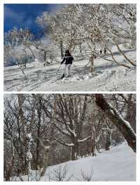 日本北海道二世古，粉雪天堂與霧凇仙境的夢幻奇遇。