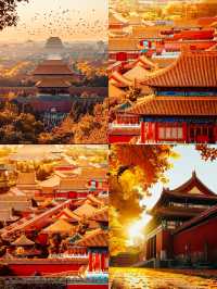 故宮打卡攻略｜穿越時空的絕美之旅，不去後悔一輩子！