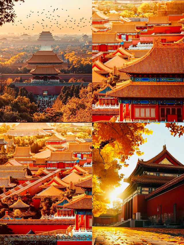 故宮打卡攻略｜穿越時空的絕美之旅，不去後悔一輩子！
