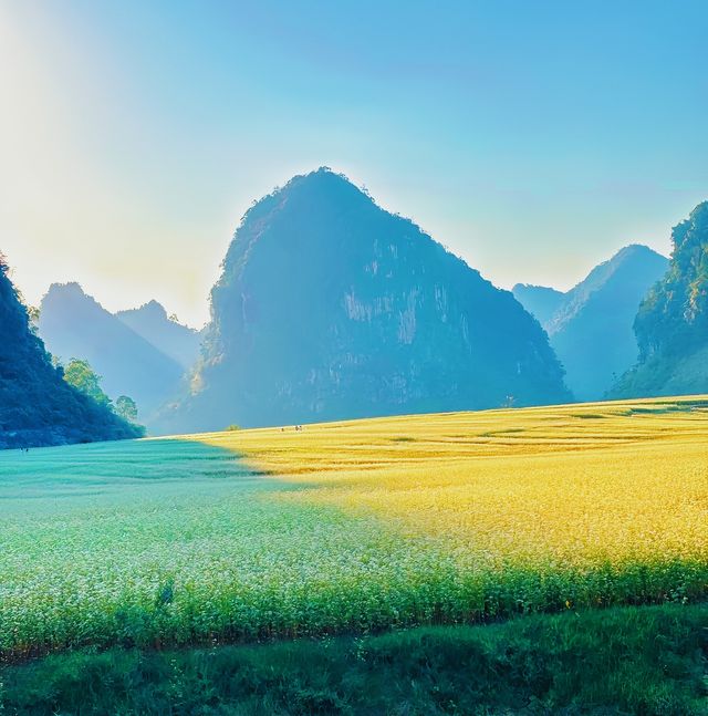 奔赴更望湖，在那片寧靜水域邂逅一場澄澈的詩意
