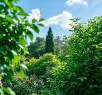 闖入莫奈花園的夏日奇遇｜武漢植物園保姆級避世指南