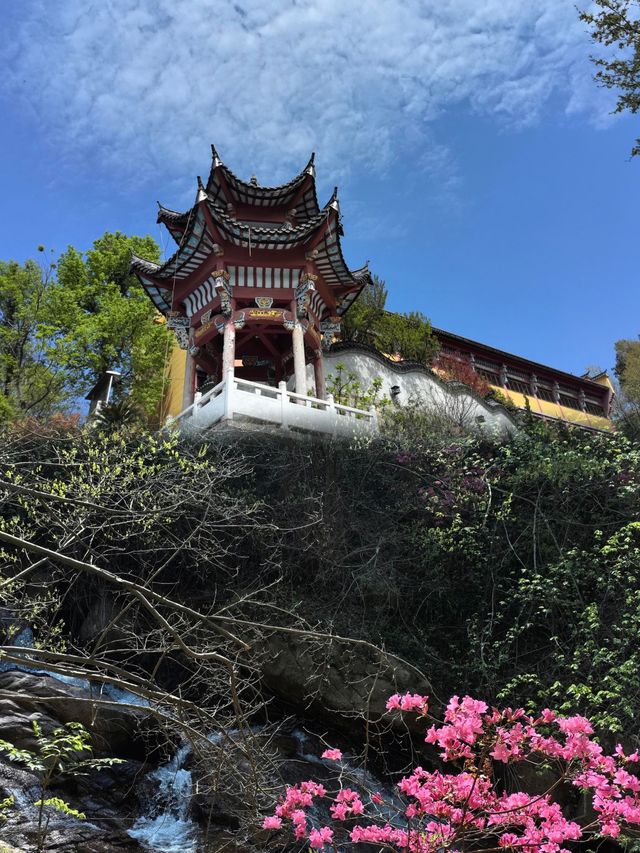 朋友都以為我出國了
