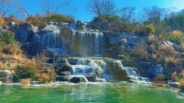 春天是逛公園的好時光～世博文化公園