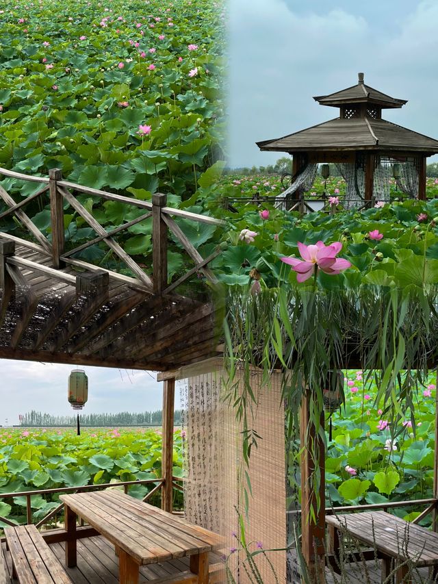 銀川不要錯過了可能會遺憾……