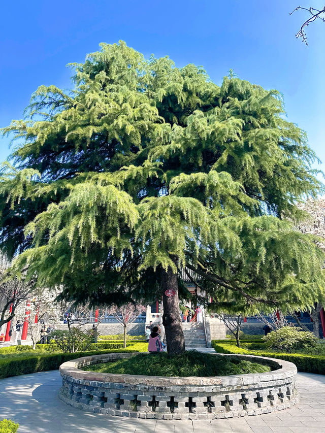 漢中市博物館的建築也值得一看