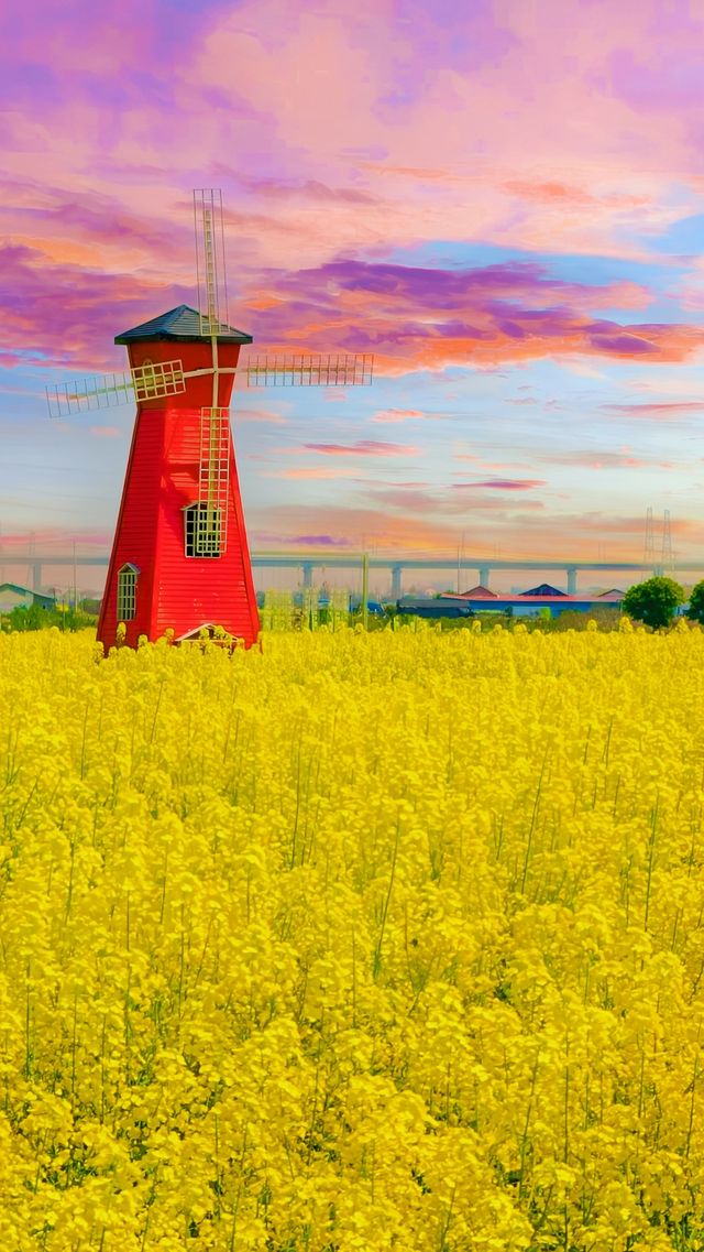 《南昌賞油菜花，最佳地點是哪裡？》