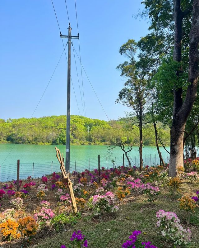 台山石花山公園，邂逅絕美春日治癒時光！