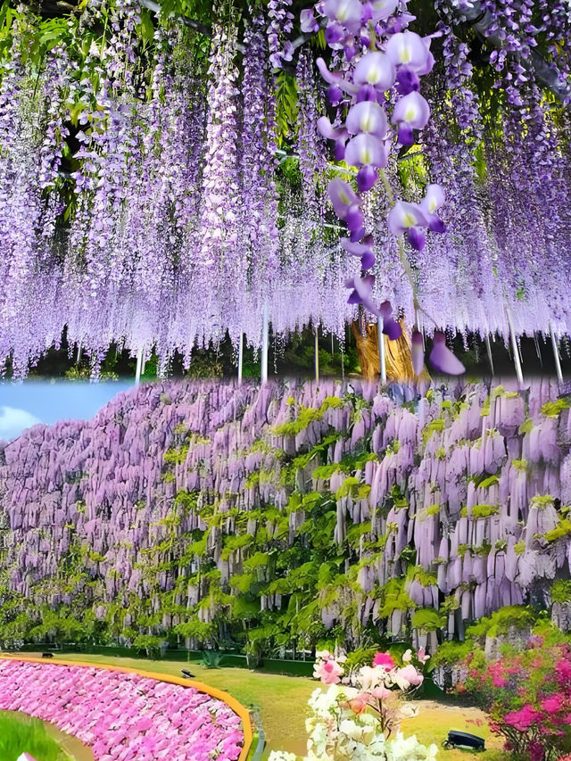 東京近郊週末遊｜足利市一日遊