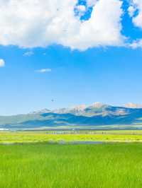 小長假遊臨夏等地 超全攻略助你玩得盡興
