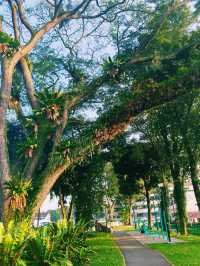 探索大阪的堺市大仙公園