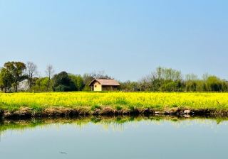 2025 Family Trip to Liangzhu Ancient City Ruins Park in Hangzhou!
