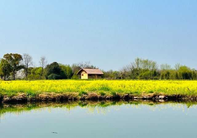 2025年去杭州良渚古城遺址公園全家遊！