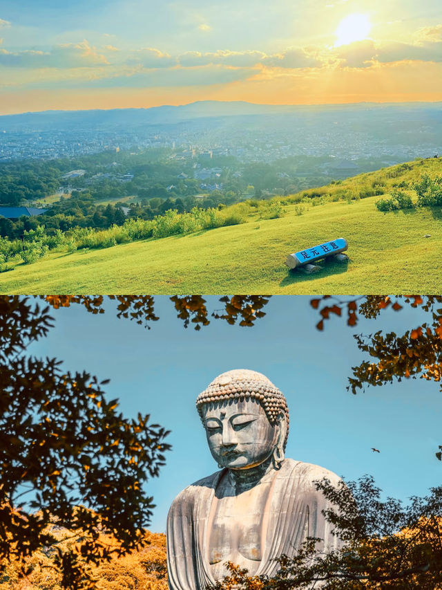 度假天花板