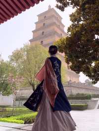 西安小眾賞花攻略｜大慈恩寺絕美機位俾我搵到咗喇！