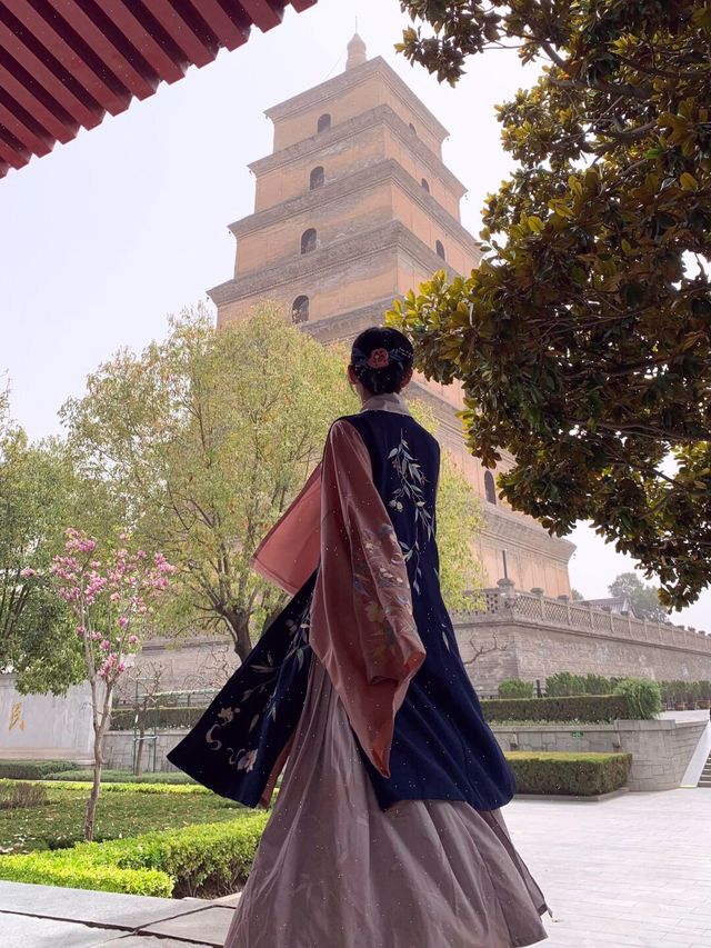 西安小眾賞花攻略｜大慈恩寺絕美機位俾我搵到咗喇！