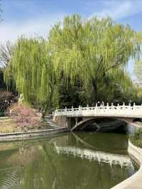 北京免費郊遊賞春公園～