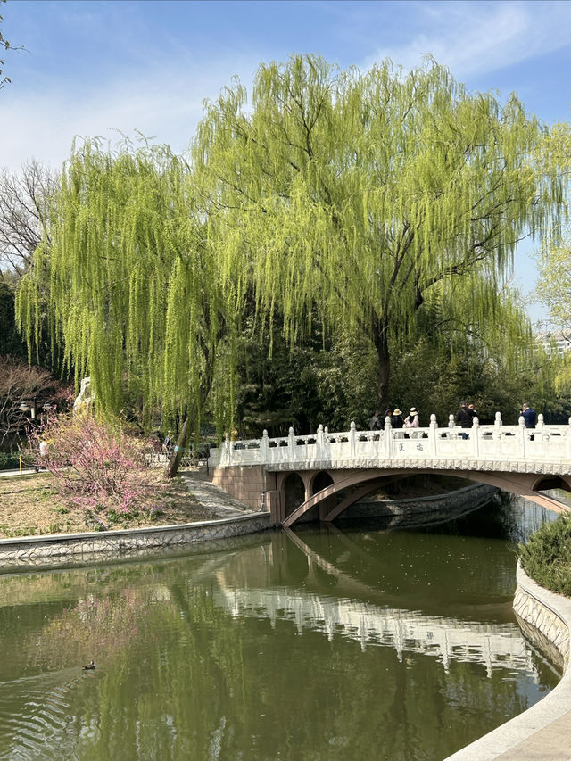 北京免費郊遊賞春公園～