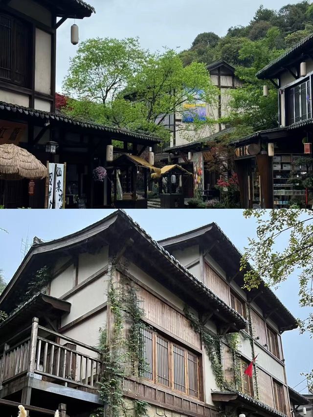 上個週末去咗葛仙村，朋友圈嘅人都問爆咗，因為…