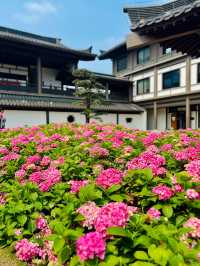 探秘廣州文博新地：文化館
