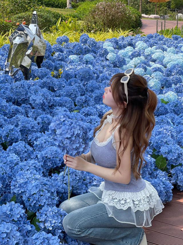🌷珠海 | 城市客廳驚現夢幻花海鹿境